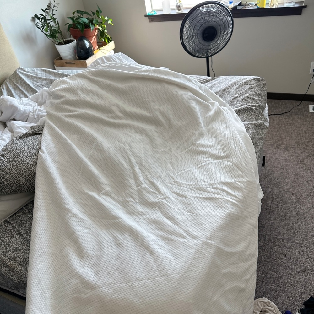 Queen mattress protector